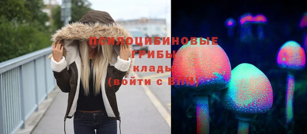 скорость Баксан