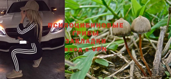 прущая мука Балахна