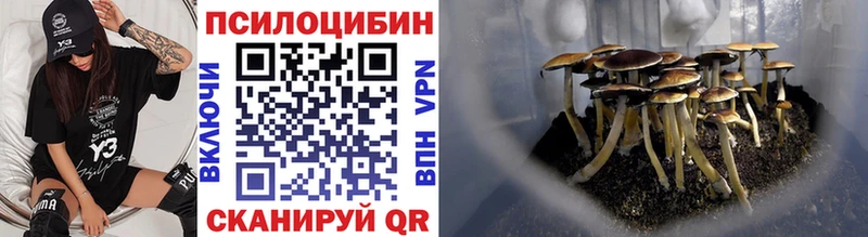 Купить  Гусев  Галлюциногенные грибы Psilocybine cubensis 